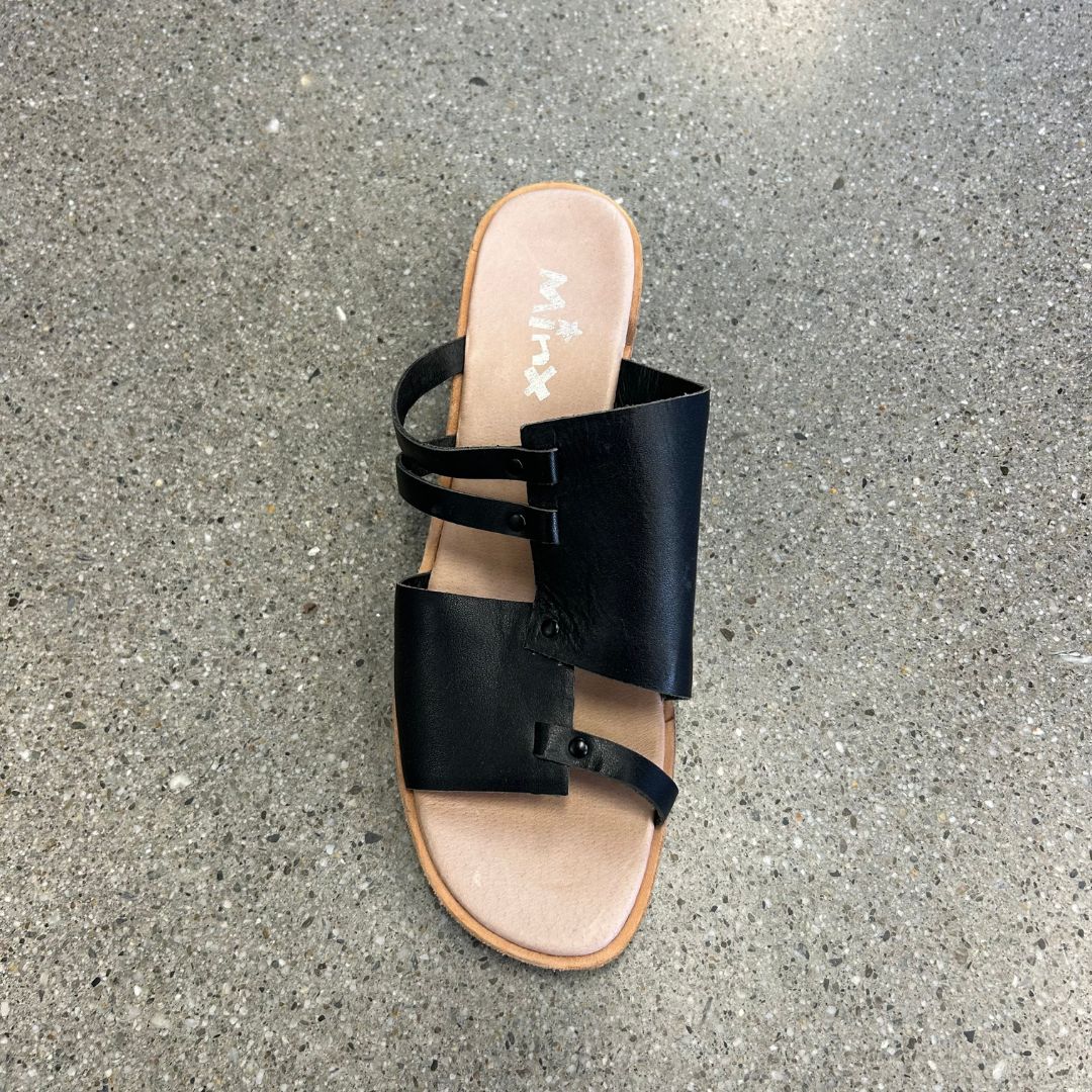 Minx Slides
